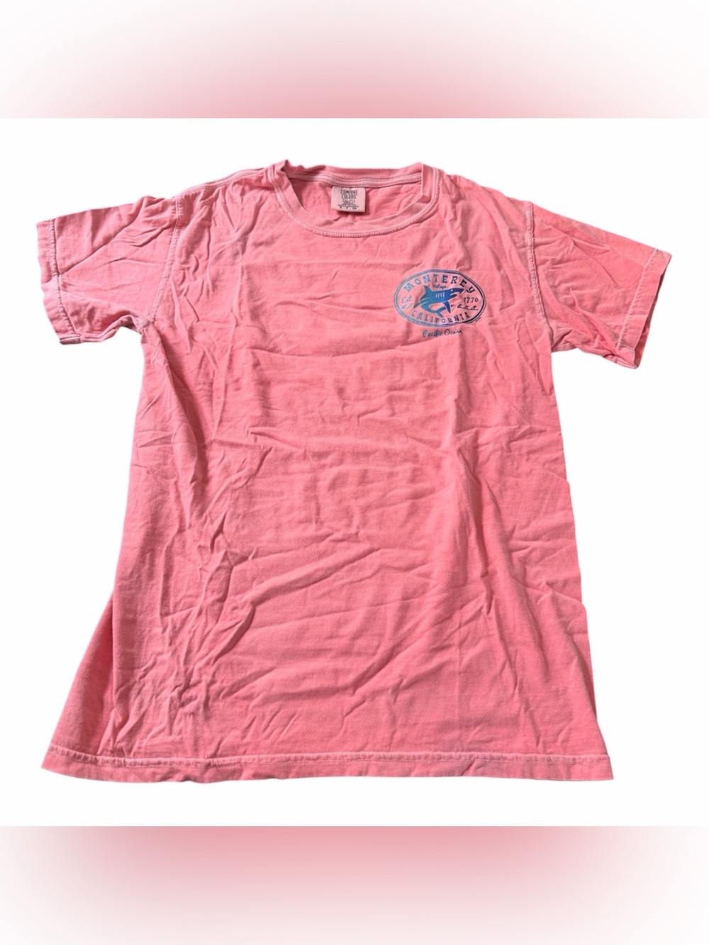 Comfort Colors Unisex Monterey Bay Graphic Neon Pink Crew Neck T-Shirt Size S